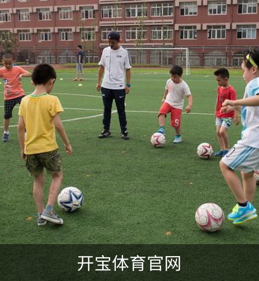 开宝体育官网概况